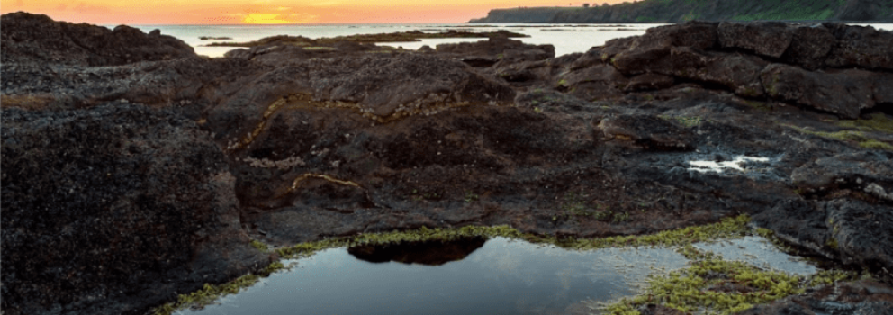 Natural Splendour – Part I: day trips, historic points, & walking tracks